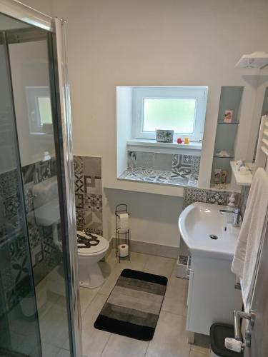 a bathroom with a shower and a toilet and a sink at Kali in Kukuljanovo