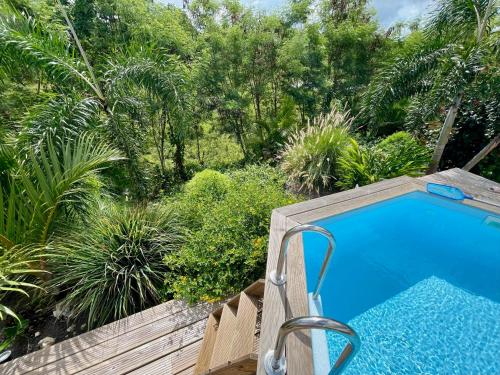 a swimming pool in a garden with trees at La Papaye d’Or in Saint-François