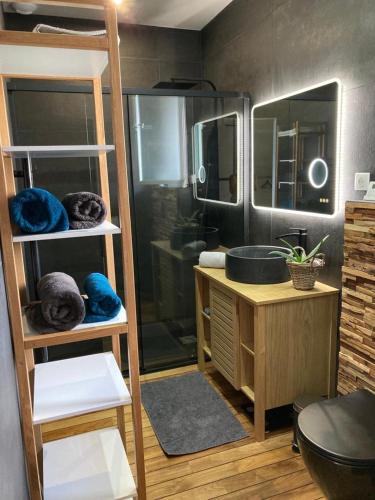 une salle de bain avec douche et lavabo et un lit superposé dans l'établissement ANGRESSE Villa Chris à 10 min d'HOSSEGOR, à Angresse