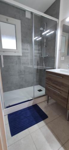 une salle de bain avec une douche avec un tapis bleu et un lavabo dans l'établissement Appartement T4 Bayonne, à Bayonne