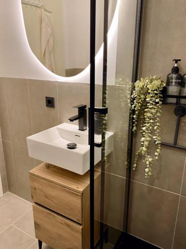 Gallery image of 371living, Altbau-Charme am Kaßberg, Perfekt für Workation, Urlaub oder Kurztrip, Entdecke Chemnitz, Moderne Küche, Waschmaschine, Smart TV, Schnelles WLAN, Bequemes Bett in Chemnitz