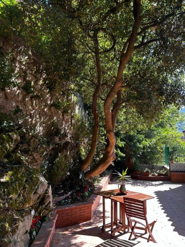 a wooden table and a bench next to some trees at the secret garden in Vietri sul Mare