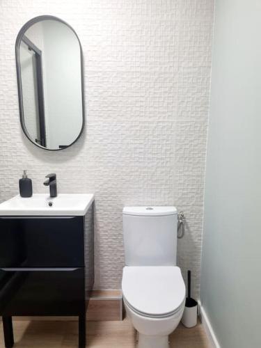 une salle de bain avec des toilettes blanches et un miroir dans l'établissement L'aiglon de Foch 1#ACCES FAC#, à Grenoble