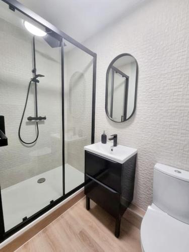 une salle de bain avec un lavabo, une douche et un miroir dans l'établissement L'aiglon de Foch 1#ACCES FAC#, à Grenoble