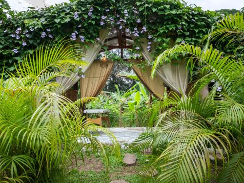 a garden with plants and a tree with purple flowers at Salvia Madre Hotel Boutique in Guachaca