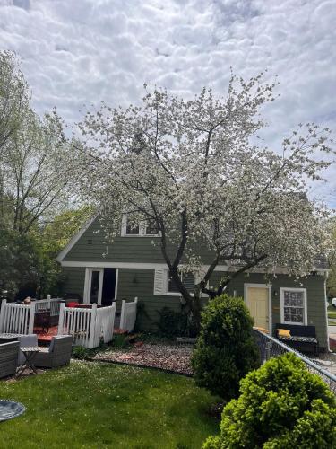 Κήπος έξω από το Cozy Cape Cod
