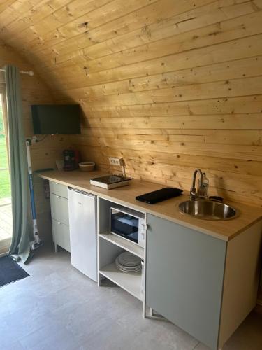 une cuisine avec un évier et un comptoir dans l'établissement La pod de mon jardin, à Prix-lès-Mézières
