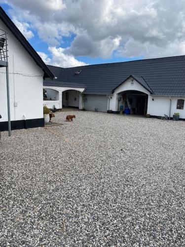a dog is sitting in front of a building at Nedlagt Landbrug med 3 lejligheder in Vejle