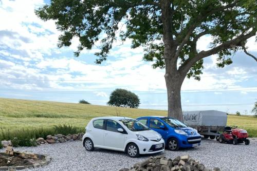 two smart cars parked next to a tree at Nedlagt Landbrug med 3 lejligheder in Vejle
