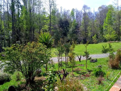 a garden with trees and plants in a field at Mi Refugio del Sur in Licán Ray
