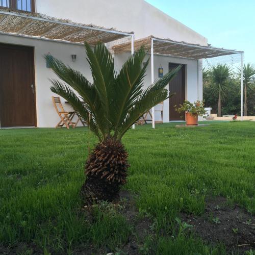 Κήπος έξω από το Agriturismo Adenzia