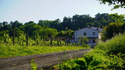 ein Haus an der Seite einer unbefestigten Straße in der Unterkunft Wine House in Capannori
