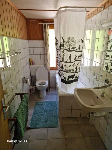 ヴェンゲンにあるTraditional chalet in Wengen - Parterre or Groundの浴槽、トイレ、洗面台を備えたバスルーム