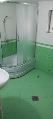 a green bathroom with a shower and a sink at ANTONIJ Apartment Gevgelija in Gevgelija