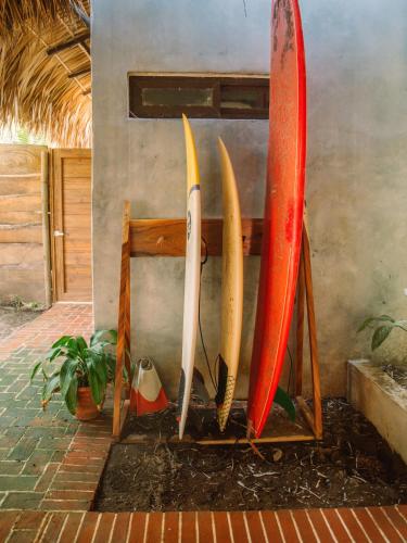 Galería fotográfica de Casa Zala en El Paredón Buena Vista