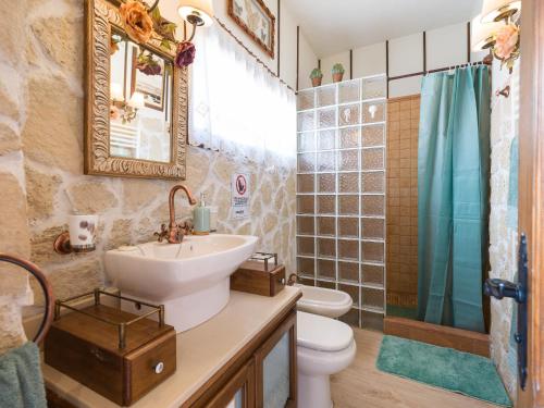 uma casa de banho com um lavatório, um WC e um chuveiro em Ca Bellavista em Vega de San Mateo