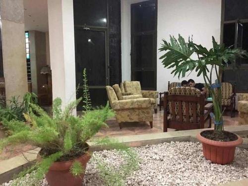 a living room with people sitting in chairs and plants at El Kasr Hotel in Marsa Matruh