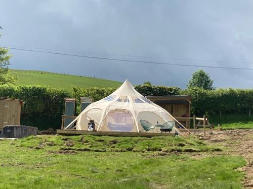 a white tent sitting in a field of grass at Luxury Stargazing Glamping - Seren Aur with Hot Tub in Llanidloes