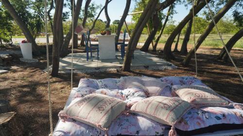 Zahrada ubytování Quinta das Cestas - Agroturismo