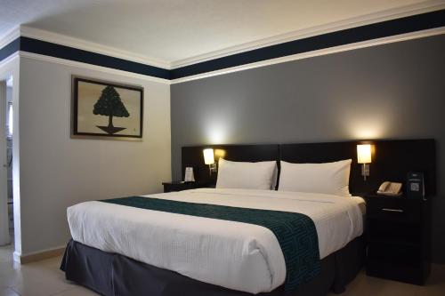 InHouse Hotel Leónにあるベッド