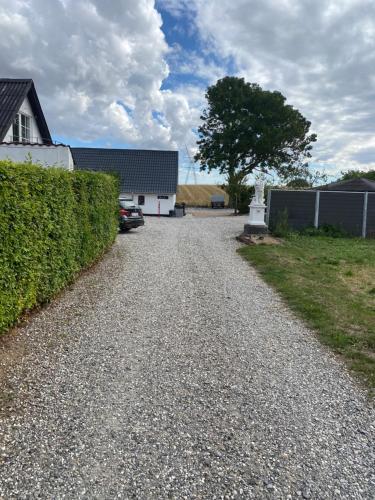 a gravel driveway with a house and a hedge at Nedlagt Landbrug med 3 lejligheder in Vejle