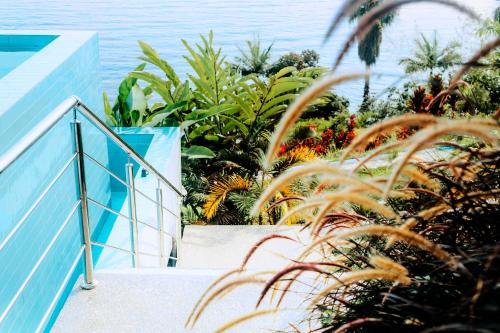 a staircase with plants and the ocean in the background at B&P Ever Retreat Villa Gisenyi in Gisenyi