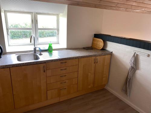 a kitchen with a sink and two windows at Nedlagt Landbrug med 3 lejligheder in Vejle