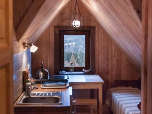 a kitchen with a sink and a window at Chata Kruka - apartamenty in Wetlina