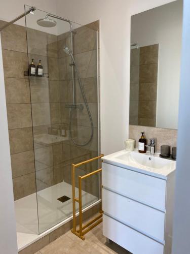 une salle de bain avec douche et lavabo dans l'établissement Vue Place des Terreaux-4 Voyageurs, à Lyon