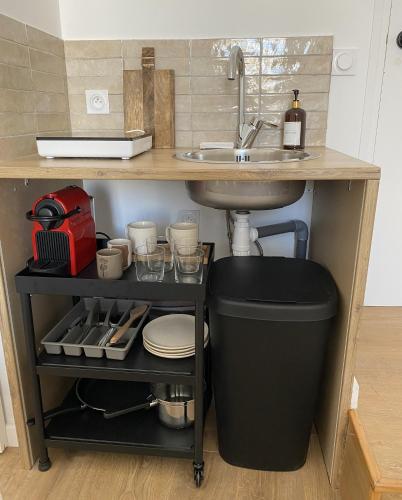 une cuisine avec évier et poubelle sous un comptoir dans l'établissement Vue Place des Terreaux-4 Voyageurs, à Lyon