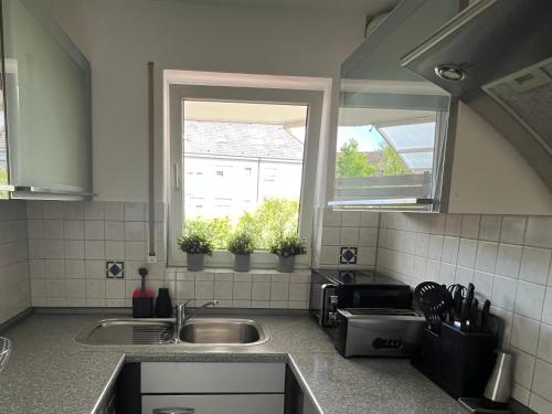 a kitchen with a sink and a window with potted plants at Design-Terrasse-7 Personen-Netflix-Garage-Seenah in Radolfzell am Bodensee