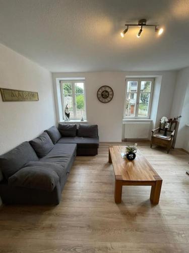 un salon avec un canapé et une table basse dans l'établissement Appartement route du vin, à Dambach-la-Ville