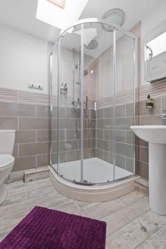 a bathroom with a shower and a toilet and a sink at Grassholm Cottage with Hot Tub - Dog Friendly in Haverfordwest