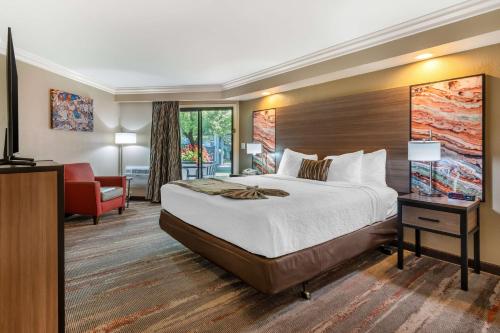 Best Western Plus Wine Country Inn & Suites في سانتا روزا: غرفة فندقية بسرير كبير وكرسي