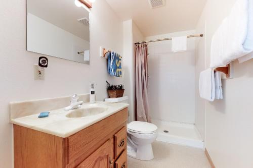 a bathroom with a sink and a toilet and a shower at Three Sisters Peak Cabin at Filoha Meadows in Redstone