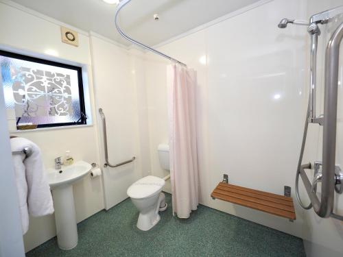 a bathroom with a toilet and a sink and a shower at Ulster Lodge Motel in Hamilton