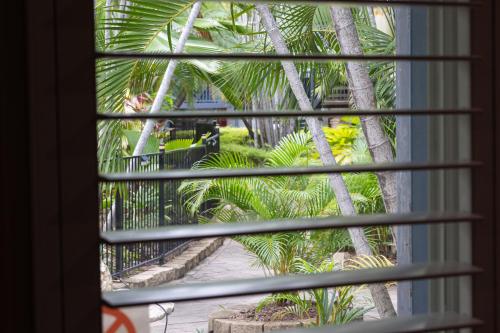 a view through a window of a courtyard with palm trees at Seahaven Resort in Townsville