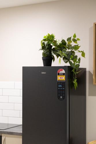 a potted plant sitting on top of a refrigerator at Seahaven Resort in Townsville