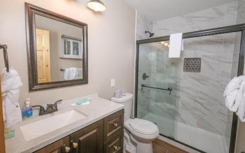 a bathroom with a toilet and a sink and a shower at Big Oak Hideaway in Gatlinburg