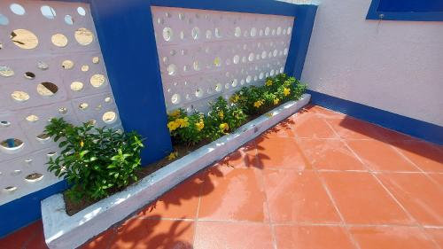 Gallery image of Homestay Bọt Biển I in Phu Yen