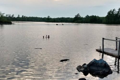 two people swimming in a large body of water at The Eagle's Landing on Minamkeak Lake - A Serene Escape in Italy Cross