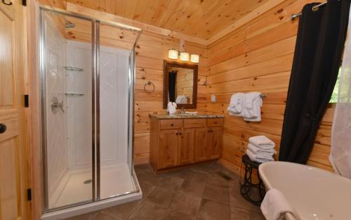 a bathroom with a shower and a sink at A Wildflower Retreat in Gatlinburg