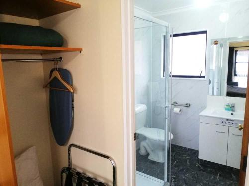 a bathroom with a glass shower and a toilet at Ulster Lodge Motel in Hamilton