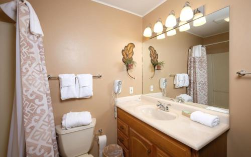 a bathroom with a sink and a toilet and a mirror at Three Pines 2139 in Gatlinburg