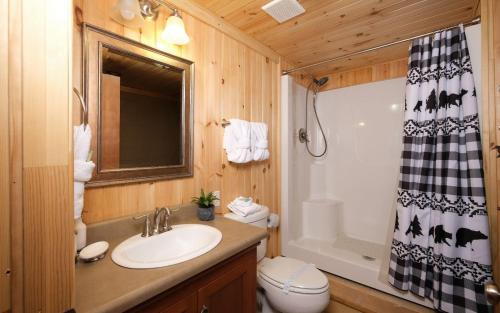 een badkamer met een wastafel, een toilet en een douche bij Karens Cozy Cottage in Gatlinburg