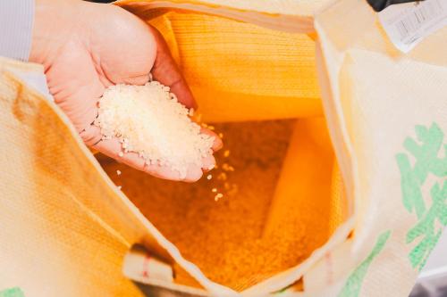 een hand die een stuk voedsel in een tas vasthoudt bij Van Cort Landt Hotel in Aira