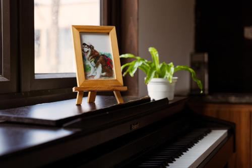 a picture of a dog on top of a piano at Mật Pet Farm - Mộc Châu in Mộc Châu