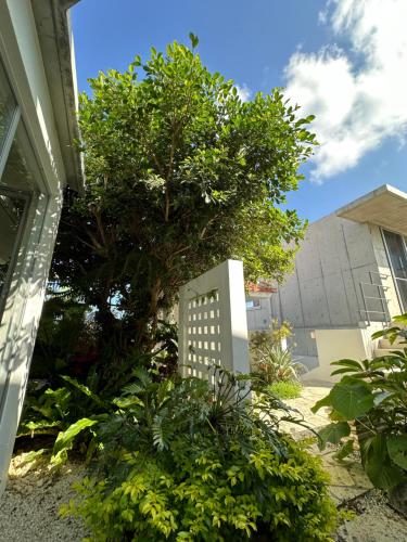 a tree in front of a building with a building at KATSUREN Blue. in Uruma