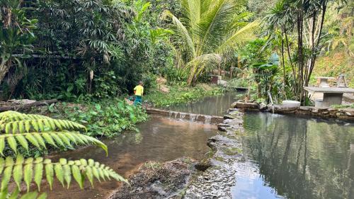 Landskap semula jadi dekat dengan rumah tamu ini