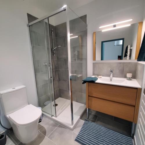 une salle de bain avec une douche, des toilettes et un lavabo dans l'établissement Studio indépendant de 30 m² - St Cléophas, à Montpellier